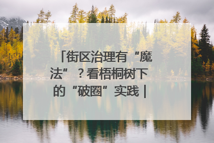 街区治理有“魔法”？看梧桐树下的“破圈”实践｜我在街区当书记