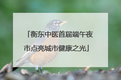 衡东中医首届端午夜市点亮城市健康之光