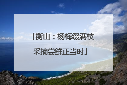 衡山：杨梅缀满枝 采摘尝鲜正当时