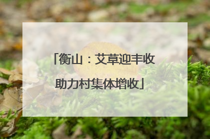 衡山：艾草迎丰收 助力村集体增收