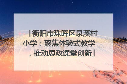 衡阳市珠晖区泉溪村小学：聚焦体验式教学，推动思政课堂创新