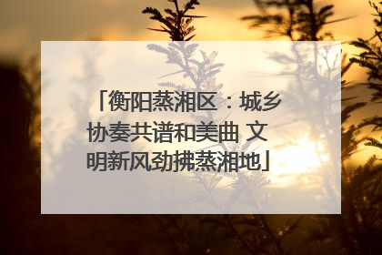 衡阳蒸湘区：城乡协奏共谱和美曲 文明新风劲拂蒸湘地