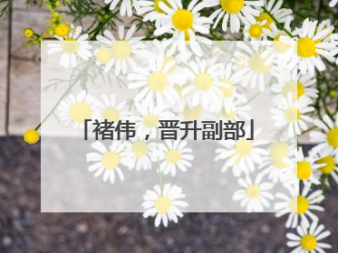 褚伟，晋升副部