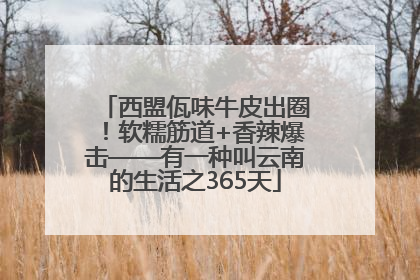 西盟佤味牛皮出圈！软糯筋道+香辣爆击——有一种叫云南的生活之365天