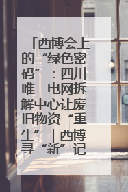 西博会上的“绿色密码”：四川唯一电网拆解中心让废旧物资“重生”｜西博寻“新”记