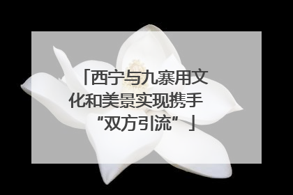 西宁与九寨用文化和美景实现携手“双方引流”