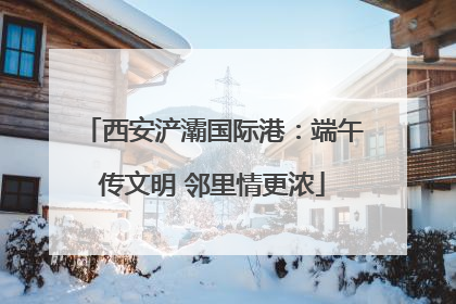 西安浐灞国际港：端午传文明 邻里情更浓