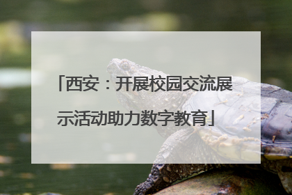西安：开展校园交流展示活动助力数字教育