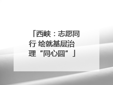 西峡：志愿同行 绘就基层治理“同心圆”