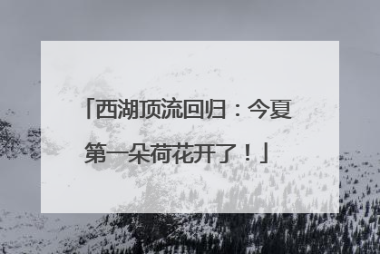 西湖顶流回归：今夏第一朵荷花开了！