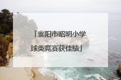 襄阳市昭明小学球类竞赛获佳绩