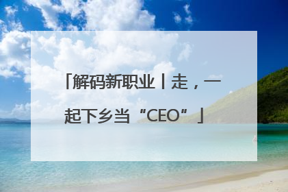 解码新职业丨走，一起下乡当“CEO”