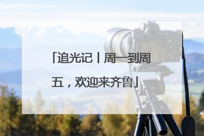 追光记丨周一到周五，欢迎来齐鲁