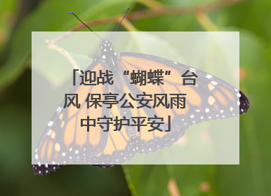 迎战“蝴蝶”台风 保亭公安风雨中守护平安
