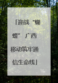 迎战“蝴蝶” 广西移动筑牢通信生命线