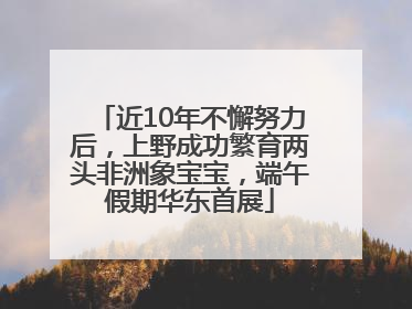 近10年不懈努力后，上野成功繁育两头非洲象宝宝，端午假期华东首展
