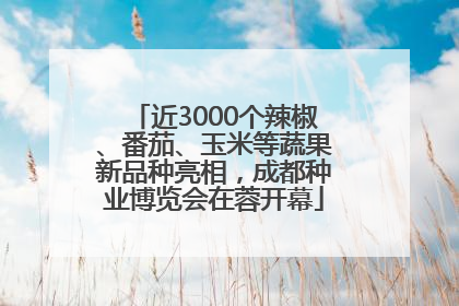 近3000个辣椒、番茄、玉米等蔬果新品种亮相，成都种业博览会在蓉开幕