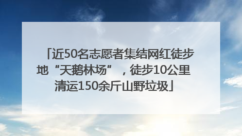 近50名志愿者集结网红徒步地“天鹅林场”，徒步10公里清运150余斤山野垃圾