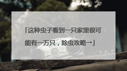 这种虫子看到一只家里很可能有一万只，除虫攻略→
