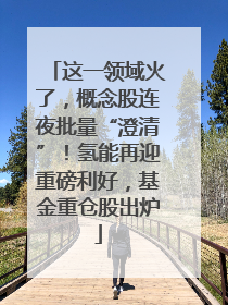 这一领域火了，概念股连夜批量“澄清”！氢能再迎重磅利好，基金重仓股出炉
