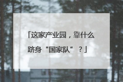 这家产业园，靠什么跻身“国家队”？