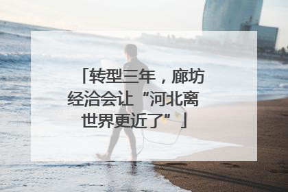 转型三年，廊坊经洽会让“河北离世界更近了”