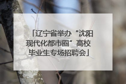 辽宁省举办“沈阳现代化都市圈”高校毕业生专场招聘会
