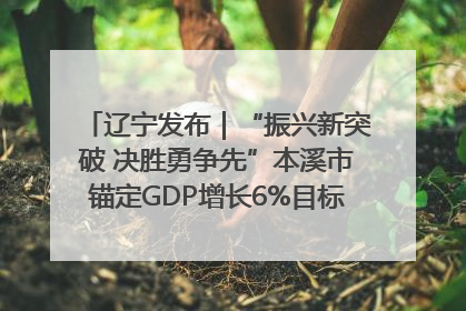 辽宁发布｜“振兴新突破 决胜勇争先”本溪市锚定GDP增长6%目标推进十项重点工作