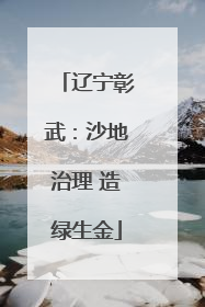 辽宁彰武：沙地治理 造绿生金