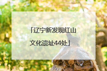 辽宁新发现红山文化遗址44处