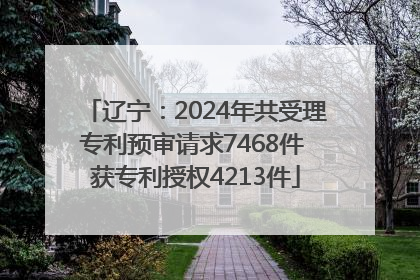 辽宁：2024年共受理专利预审请求7468件 获专利授权4213件