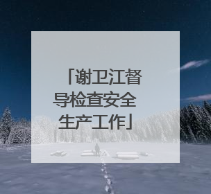谢卫江督导检查安全生产工作