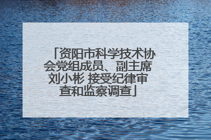 资阳市科学技术协会党组成员、副主席刘小彬 接受纪律审查和监察调查