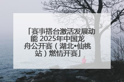 赛事搭台激活发展动能 2025年中国龙舟公开赛（湖北•仙桃站）燃情开赛