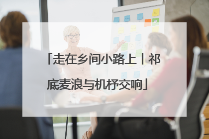 走在乡间小路上丨祁底麦浪与机杼交响