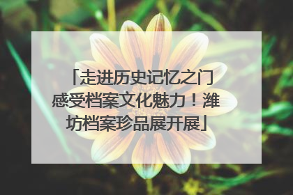 走进历史记忆之门 感受档案文化魅力！潍坊档案珍品展开展
