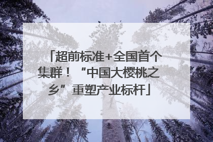 超前标准+全国首个集群！“中国大樱桃之乡”重塑产业标杆