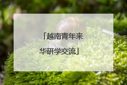 越南青年来华研学交流