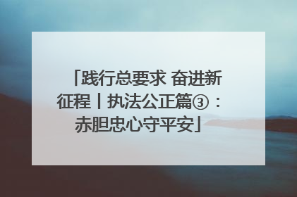 践行总要求 奋进新征程丨执法公正篇③：赤胆忠心守平安