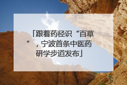 跟着药径识“百草”，宁波首条中医药研学步道发布
