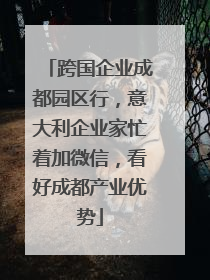 跨国企业成都园区行，意大利企业家忙着加微信，看好成都产业优势