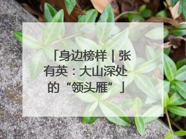 身边榜样｜张有英：大山深处的“领头雁”