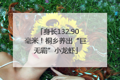 身长132.90毫米！桐乡养出“巨无霸”小龙虾