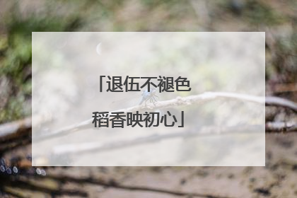 退伍不褪色 稻香映初心