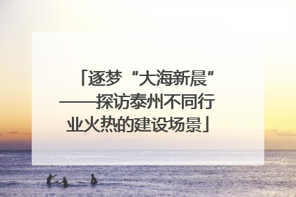 逐梦“大海新晨”——探访泰州不同行业火热的建设场景