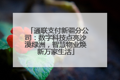 通联支付新疆分公司：数字科技点亮沙漠绿洲，智慧物业焕新万家生活