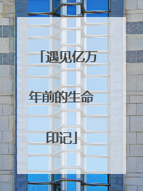 遇见亿万年前的生命印记