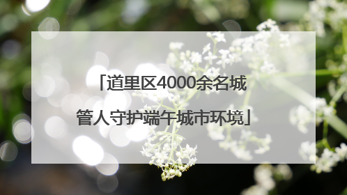 道里区4000余名城管人守护端午城市环境