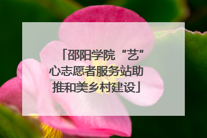 邵阳学院“艺”心志愿者服务站助推和美乡村建设