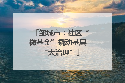 邹城市：社区“微基金”撬动基层“大治理”